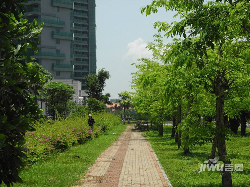 美锦湾实景图图片