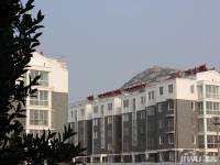 胊阳雅苑实景图10