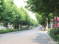 胊阳雅苑实景图10