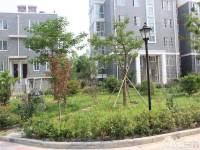 胊阳雅苑实景图10
