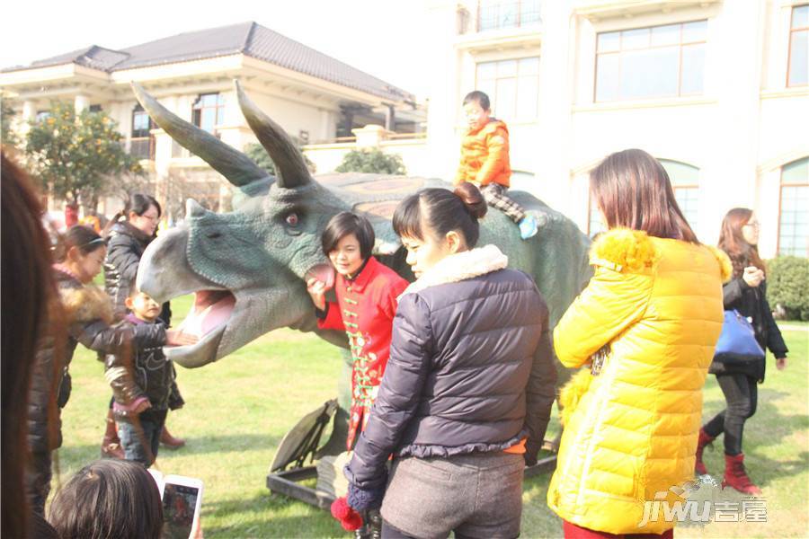 洛城·悦湖国际实景图图片