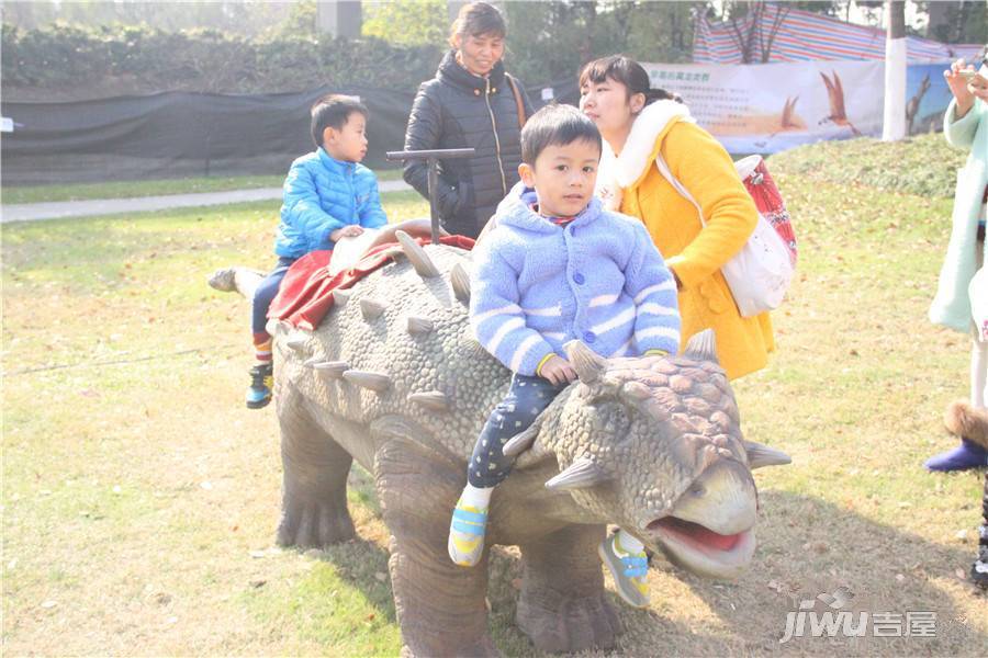 洛城·悦湖国际实景图图片