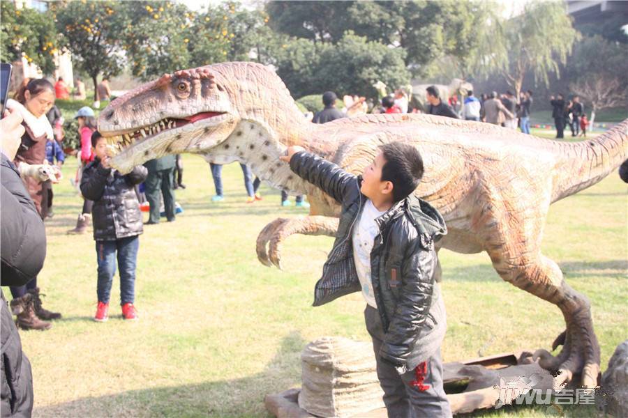 洛城·悦湖国际实景图图片