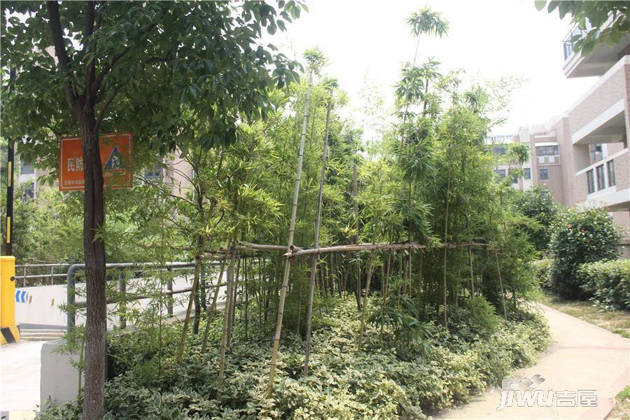 锦翠嘉苑实景图