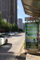 德信国贸实景图5
