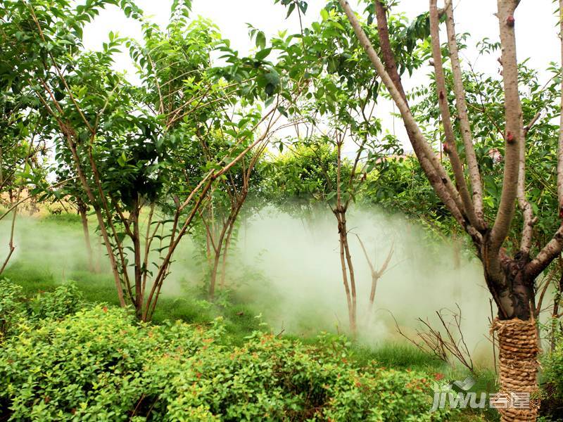 特变森林花园实景图图片