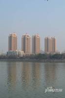 黄河畔岛实景图图片