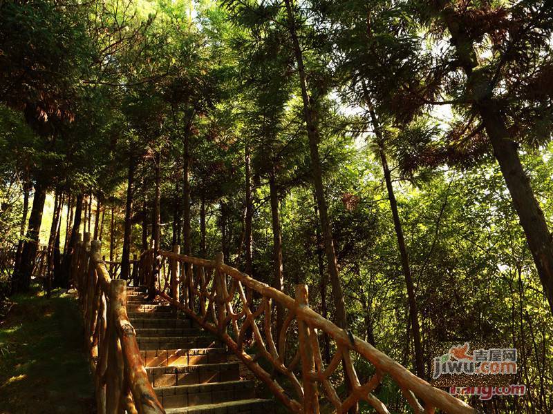 苏马荡依云囯际实景图图片