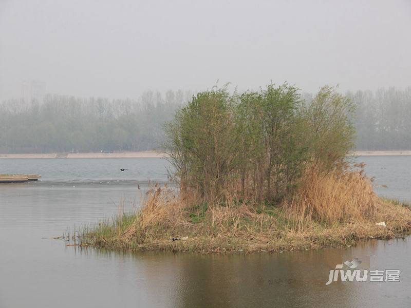 君悦湾实景图图片