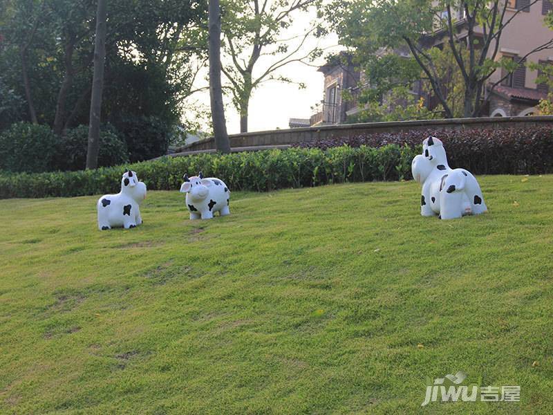 弘宇琉森堡实景图图片