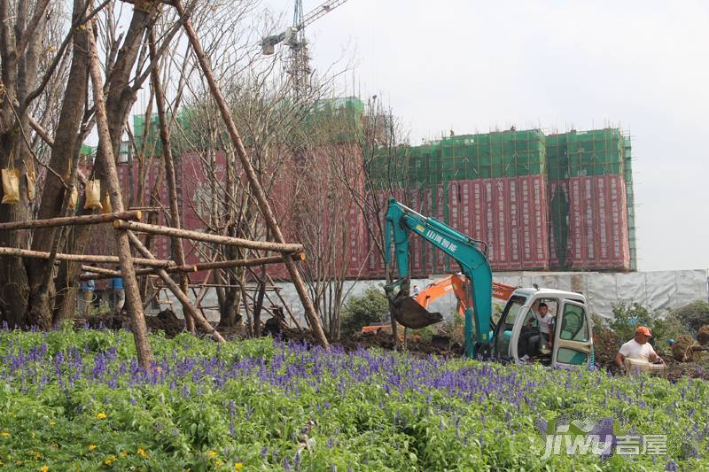 恒大雅苑实景图图片