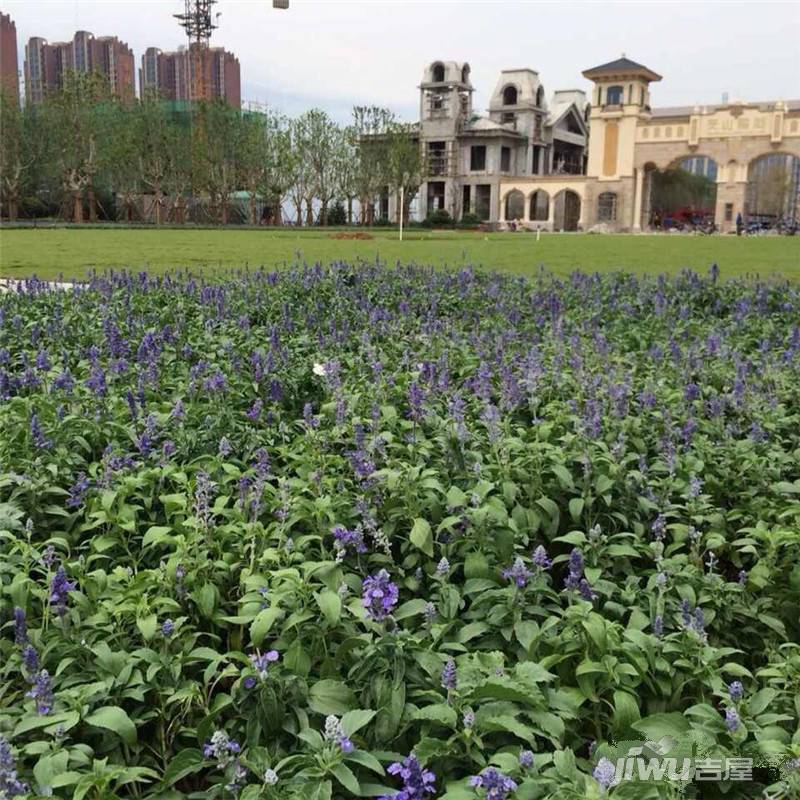 建投熙湖实景图图片