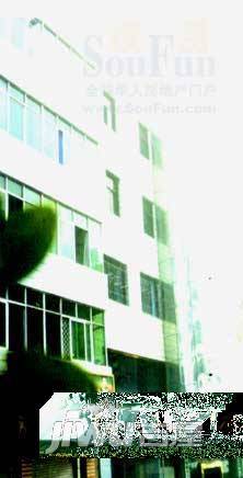 新九洲花园实景图图片