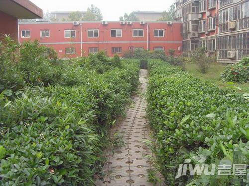 翠薇雅居实景图图片