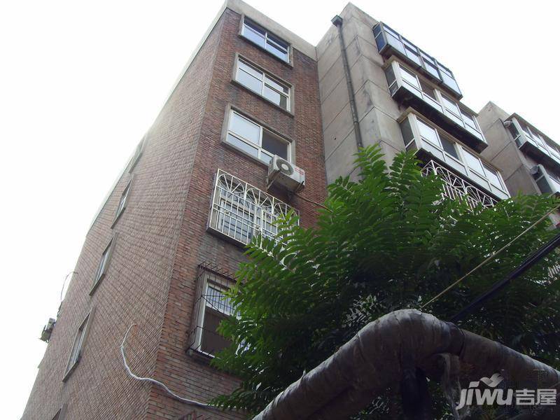 纯粹家园实景图图片