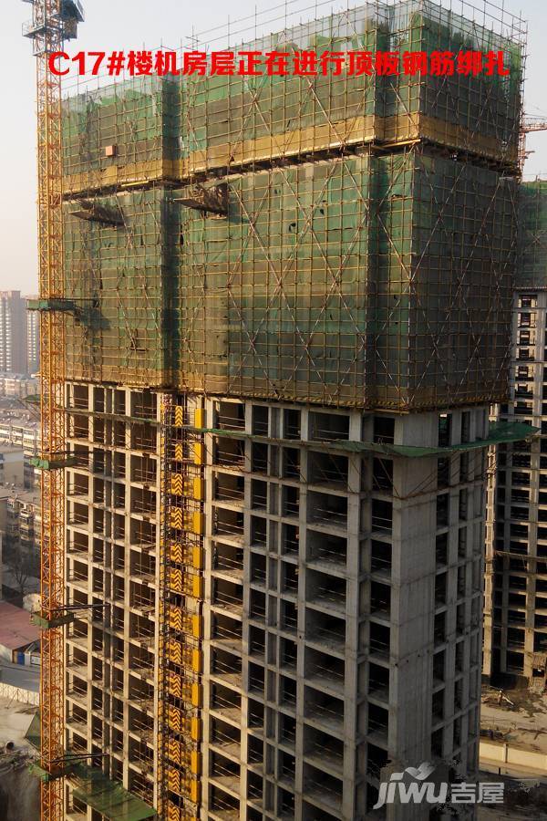 林荫大院实景图图片