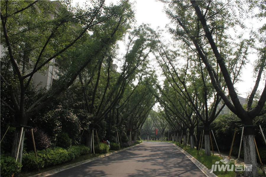 铭丰臻园实景图图片