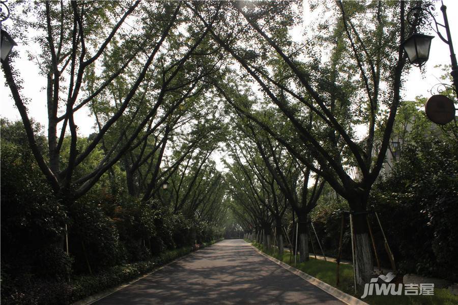 铭丰臻园实景图图片