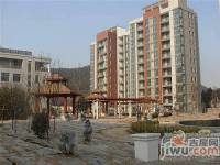 山水康桥实景图图片