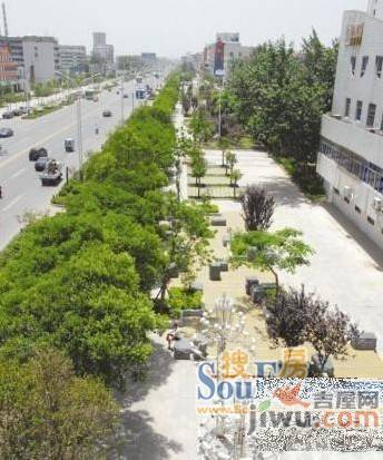 金财佳苑实景图图片