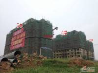 御山雅苑实景图3