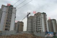 御山雅苑实景图3