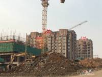 御山雅苑实景图3