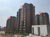 御山雅苑实景图3