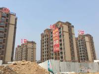 御山雅苑实景图3