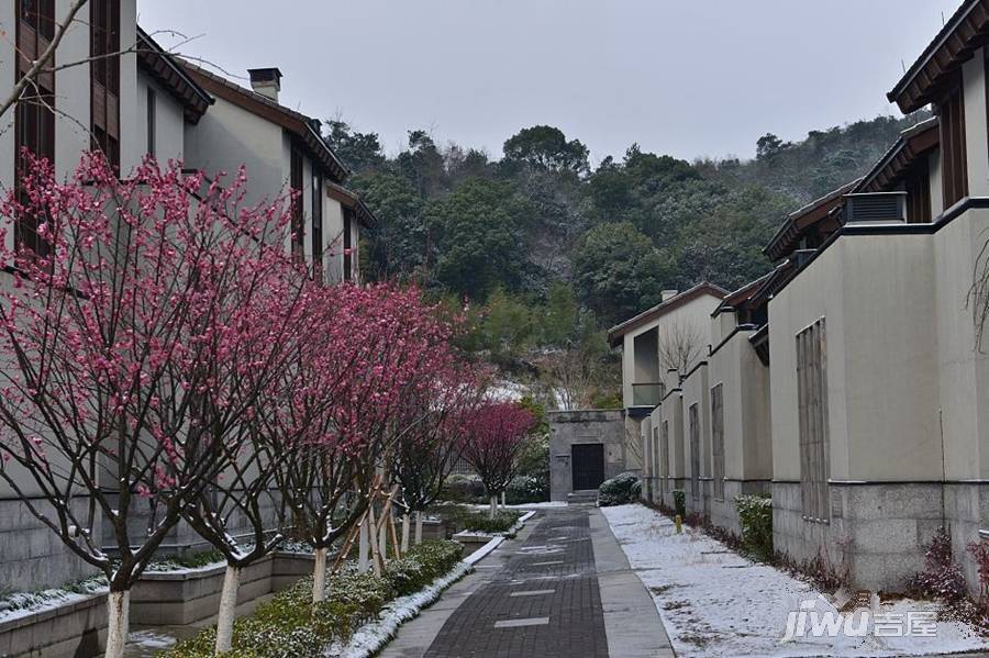 塘家湾悦府别墅实景图图片