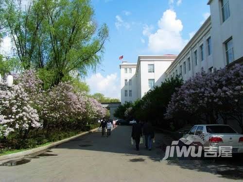 新江桥小区实景图图片