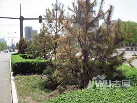 龙坤花园实景图图片