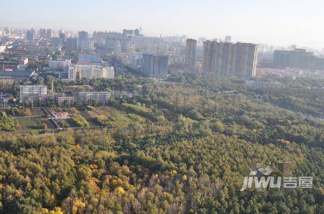 黑大芳洲园实景图图片