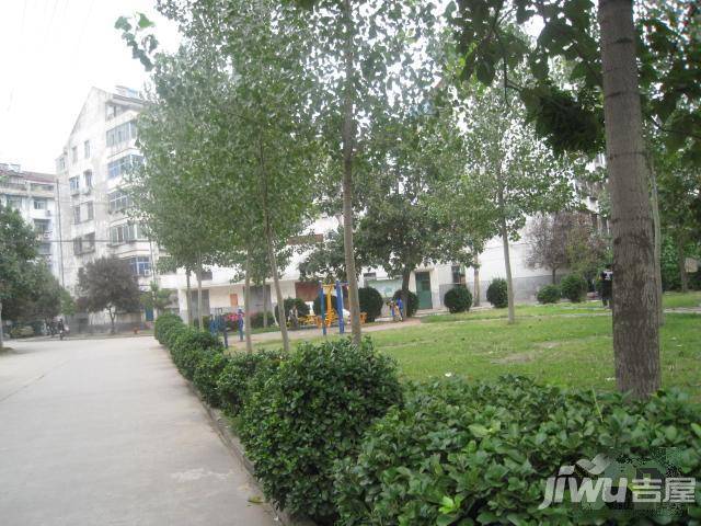创业家园实景图图片
