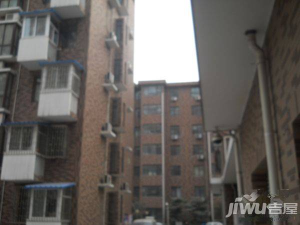 茵悦之声实景图图片