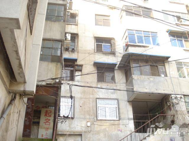 同乐小区北院实景图图片