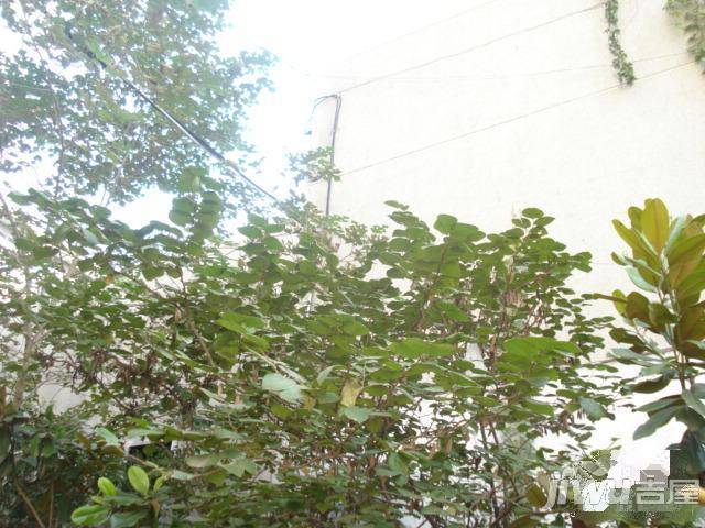 同乐小区北院实景图图片