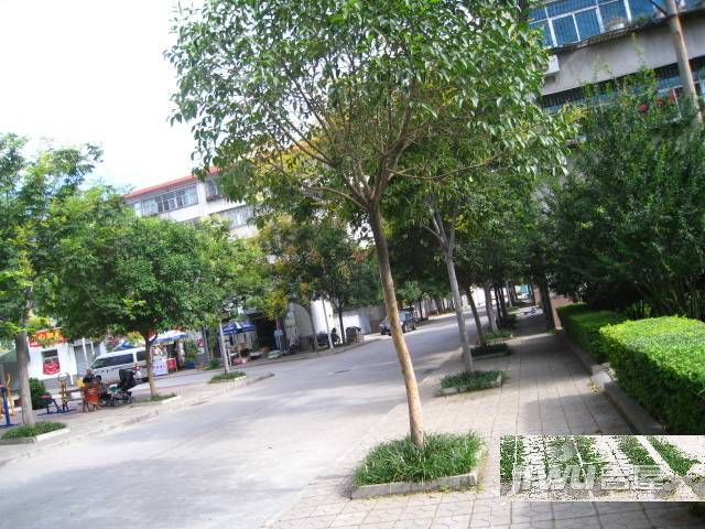 源升福尚咖啡公寓实景图图片