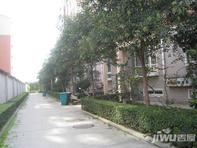 滨河名家实景图图片
