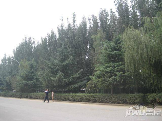假日蓝湾实景图图片
