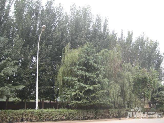 假日蓝湾实景图图片