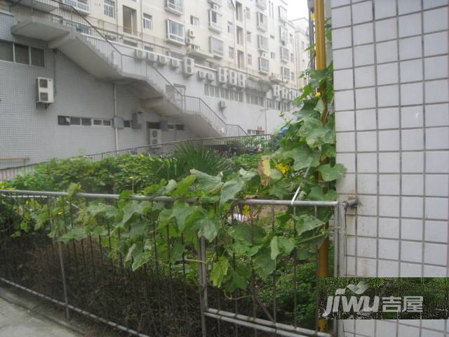 SOHO世纪城实景图图片