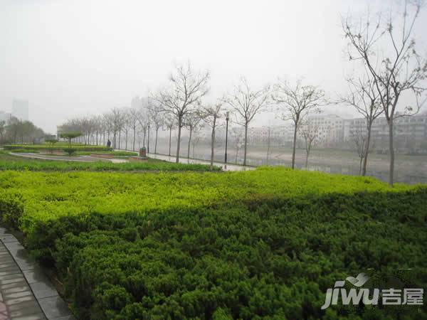鑫苑名家实景图图片