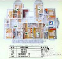 明珠小城2室0厅0卫户型图