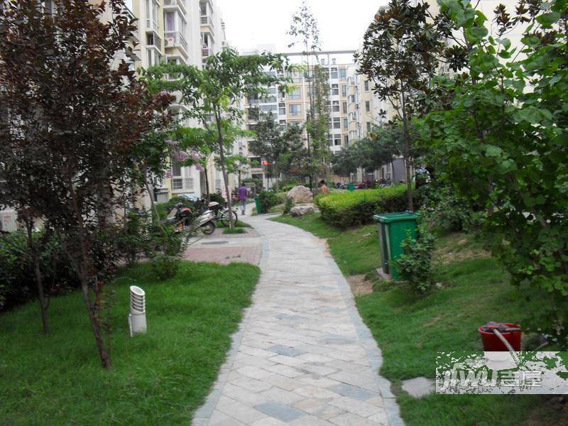 西湖秋韵实景图图片