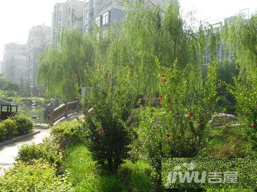 绿城百合二期实景图图片