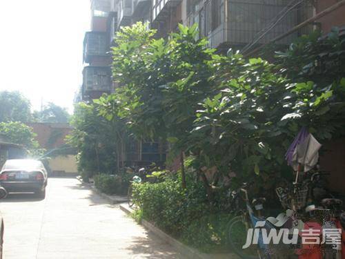 金紫伊苑实景图图片