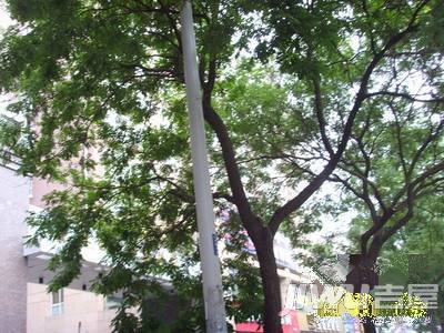 商都幸福家园实景图图片