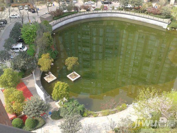建业森林半岛实景图图片