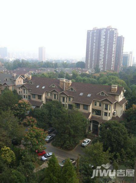 建业森林半岛实景图图片